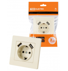 Розетка 2П+З 16А 250В + 2 USB порта 2,1А 5В сл. кость "Сенеж" TDM