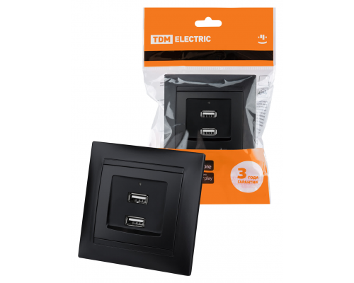 Розетка 2USB порт 2,1А 5В графит "Лама" TDM