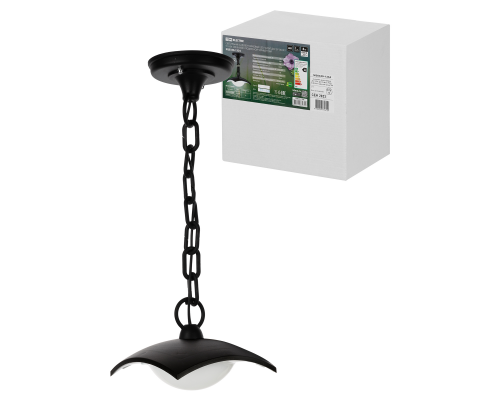 Светильник садово-парковый LED "СИТИ" ДСУ 07-08-001 У1 8 Вт 230 В 6500 К подвесной черный TDM