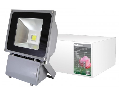 Прожектор светодиодный СДО70-1 70Вт, 6000 К, IP65,серый, TDM