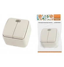 Выключатель 2-кл. открытой установки с подсветкой IP20 10А, сл. кость 