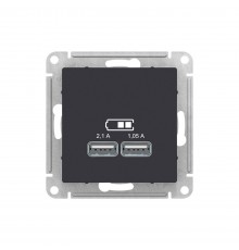 Розетка USB Schneider Electric AtlasDesign ATN001033 Карбон