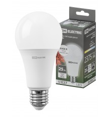Лампа светодиодная А65 25 Вт, 230 В, 6500 К, E27 TDM